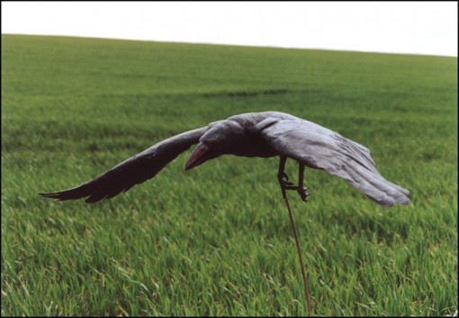 ... the rook raider flies with articulated wings ...          (Click to enlarge)