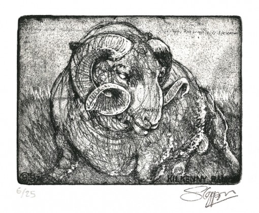 ... Kilkenny ram ... (Click to enlarge)