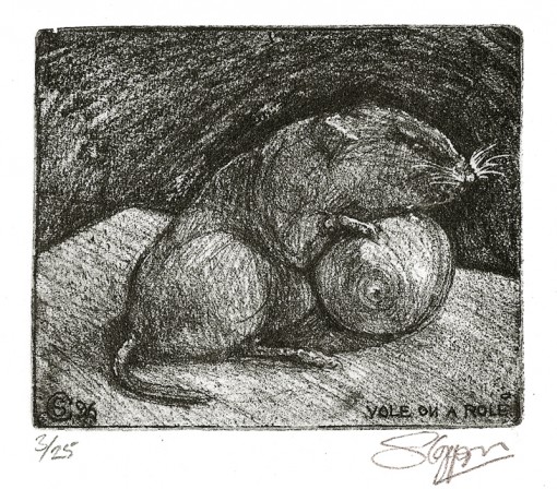 ... study of a Bank Vole ...  (Click to enlarge)