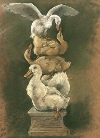... a gaggle of ducks ... (Click to enlarge)