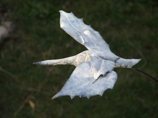 SWAN LEAVES I