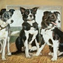 ... portrait of three working girls ...  (Click to enlarge)