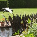 ... a water feature with fern fronds from the Downs       (Click to enlarge)