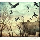 TANKS FOR THE ROOKS ... encircling tanks wintery trees       (Click to enlarge)