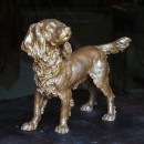 This Spaniel is more delicately built, diligent and thoughtful and has a soft heart