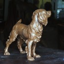 This Spaniel is more delicately built, diligent and thoughtful and has a soft heart