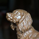 This Spaniel is more delicately built, diligent and thoughtful and has a soft heart