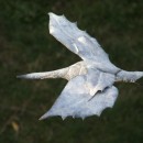 SWAN LEAVES I