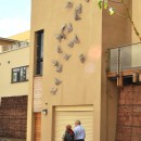 Bronze birds flying up the wall.