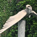 KESTREL KYTOON - Bronze Kestrel 2.3 x lifesize - on a granite column