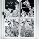 ROOKS FALL - Window at the Muse