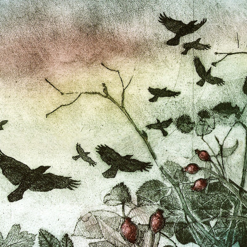 Rampaging Rooks - close up detail