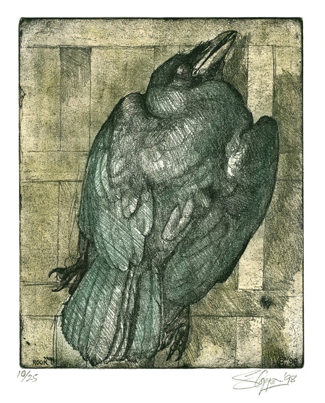... study of an exquisite rook ... (Click to enlarge)