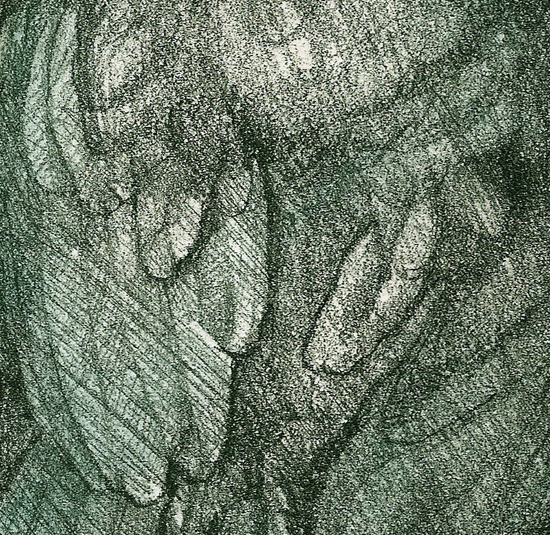 ... study of an exquisite rook ... (Click to enlarge)