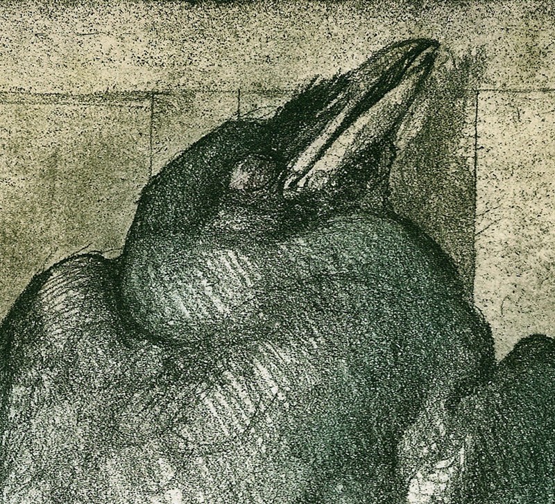 ... study of an exquisite rook ... (Click to enlarge)