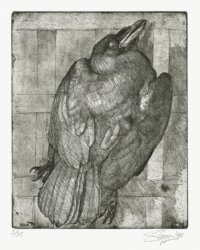 ... study of an exquisite rook ... (Click to enlarge)