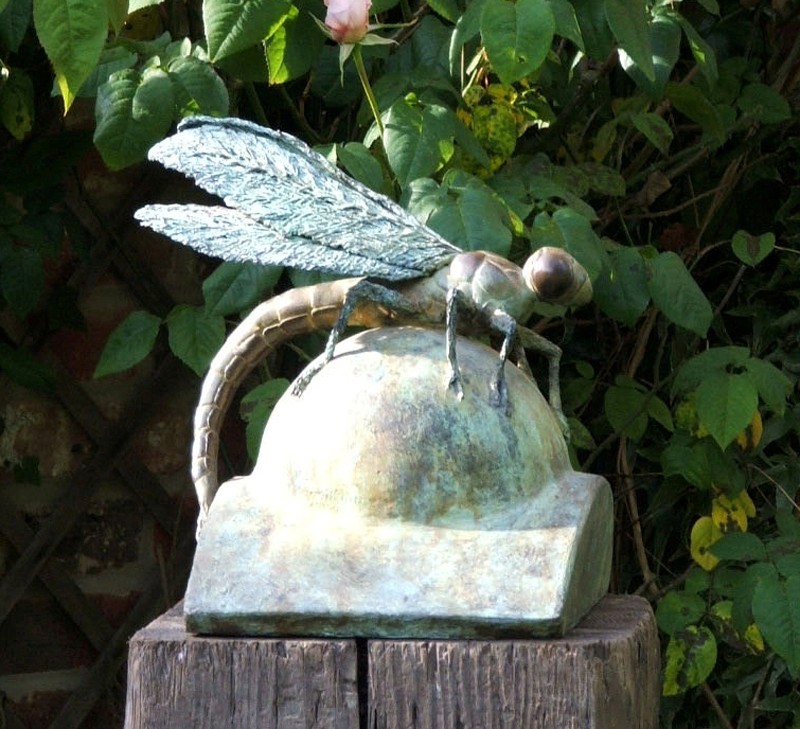 ... a sleepy Dragonfly ... (Click to enlarge)