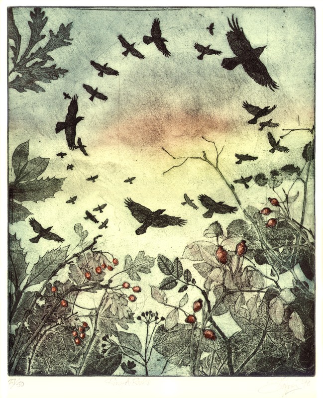 ... rampaging rooks ... (Click to enlarge)