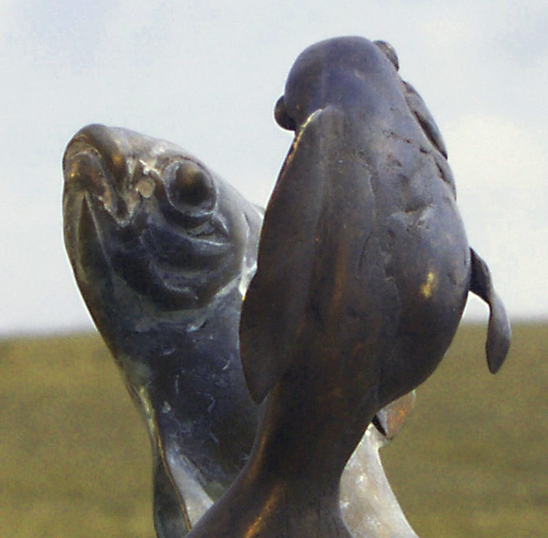 Photo by John Page (Click to enlarge)