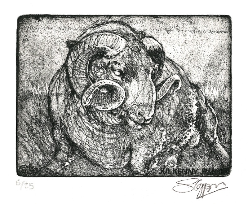 ... Kilkenny ram ... (Click to enlarge)