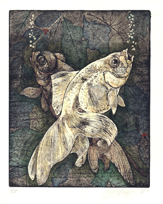 ... good friends who swim closely together ... Hand tinted (Click to enlarge)