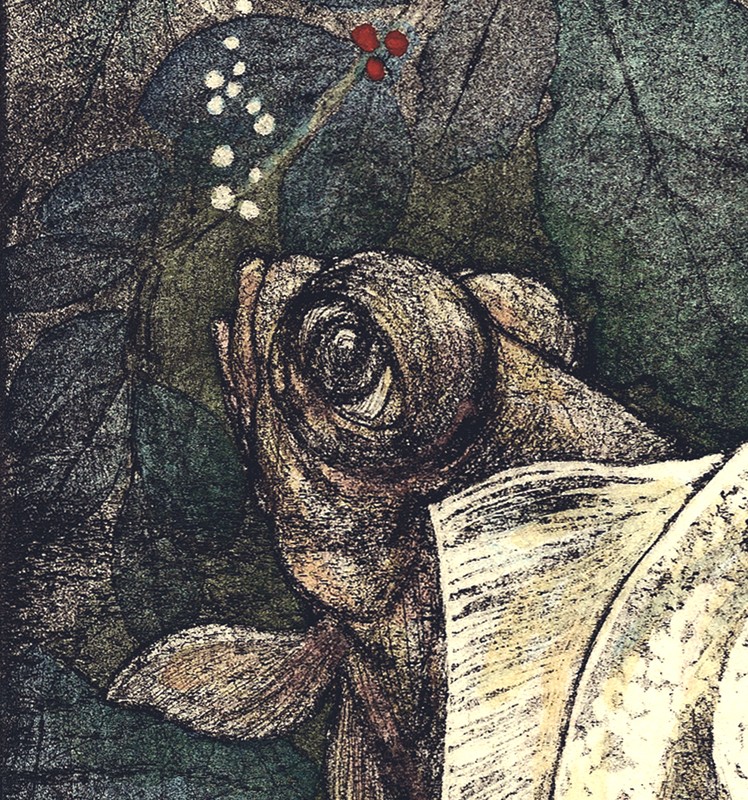 ... good friends who swim closely together ... Hand tinted (Click to enlarge)