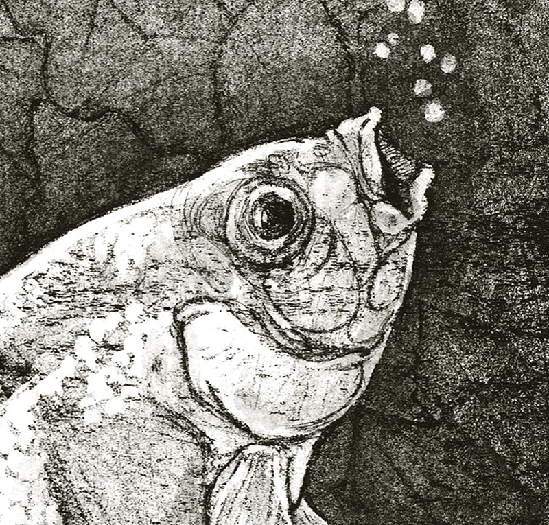 Black & white print - detail (Click to enlarge)
