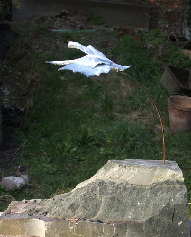 SWAN LEAVES I