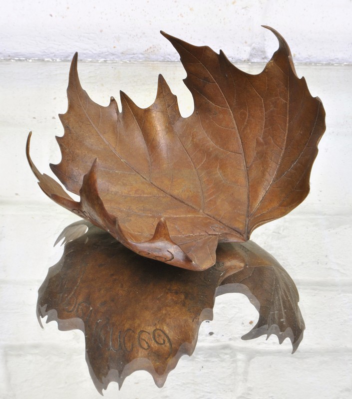 LEAF LITTER VII