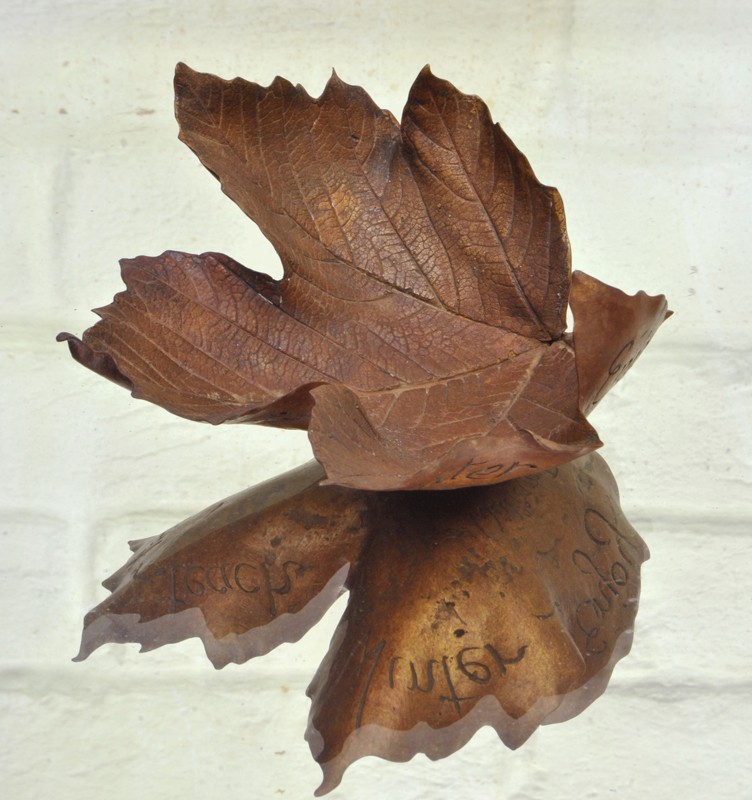 LEAF LITTER VII