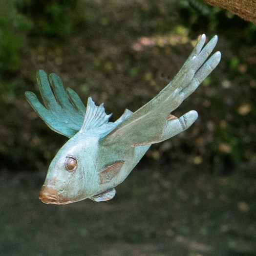 FLYING FISH II - CLOWN FLYER
