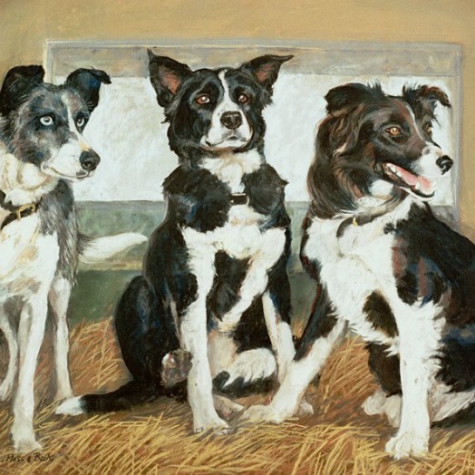 ... portrait of three working girls ... (Click to enlarge)