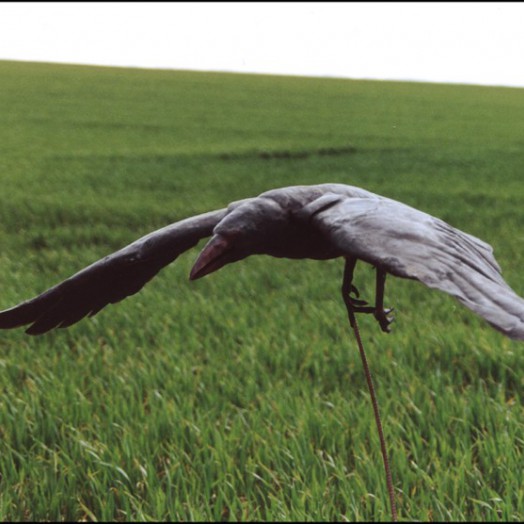 ... the rook raider ‘flies’ with articulated wings ... (Click to enlarge)