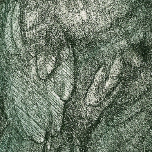 ... study of an exquisite rook ... (Click to enlarge)