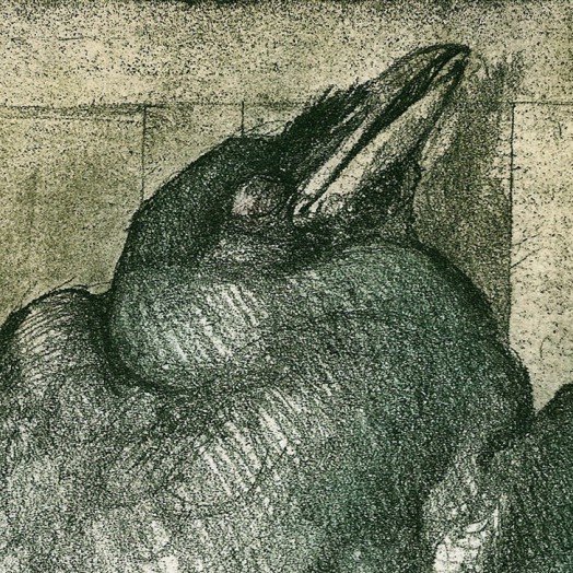 ... study of an exquisite rook ... (Click to enlarge)