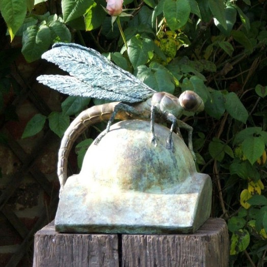 ... a sleepy Dragonfly ... (Click to enlarge)