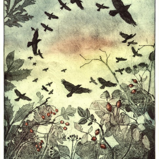 ... rampaging rooks ... (Click to enlarge)