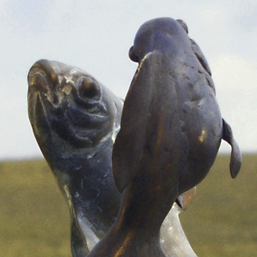 Photo by John Page (Click to enlarge)