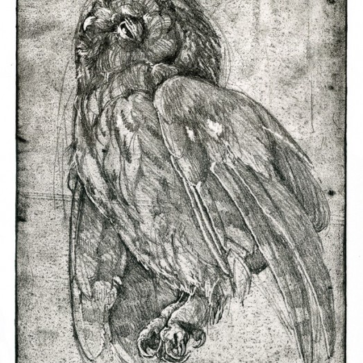 ... mother would have warned him not to be out so late … (Click to enlarge)