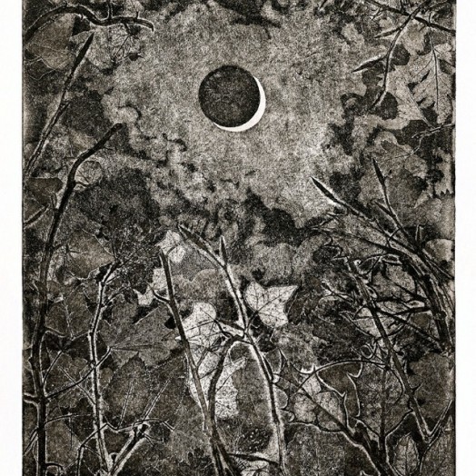 ... the silvery outline of the moon gradually disappears ... (Click to enlarge)