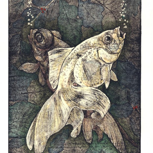 ... good friends who swim closely together ... Hand tinted (Click to enlarge)