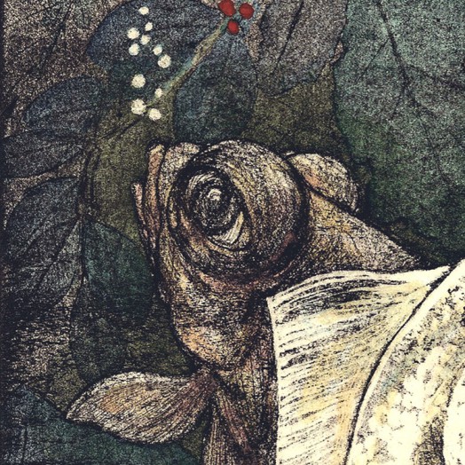 ... good friends who swim closely together ... Hand tinted (Click to enlarge)