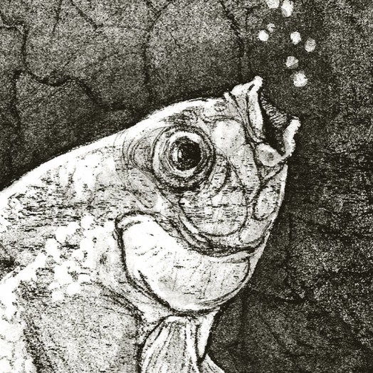 Black & white print - detail (Click to enlarge)