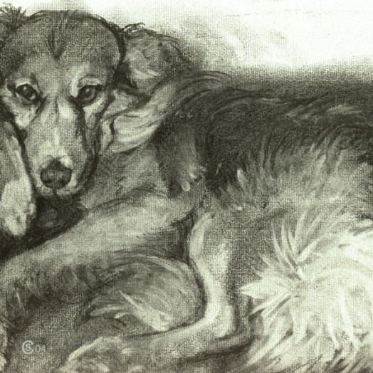 … a foxy little dog ... (Click to enlarge)