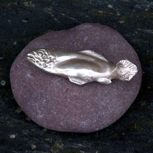 a silvery salmon all slippery and shiny
(Click to enlarge)