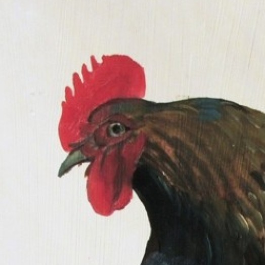 COCK SURE