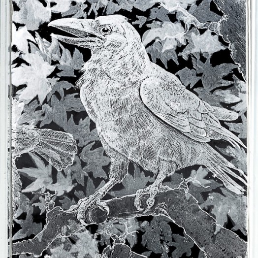 ROOKS FALL - detail