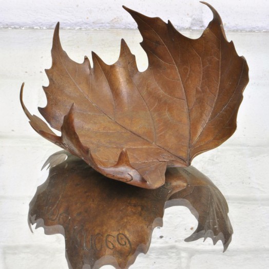 LEAF LITTER VII