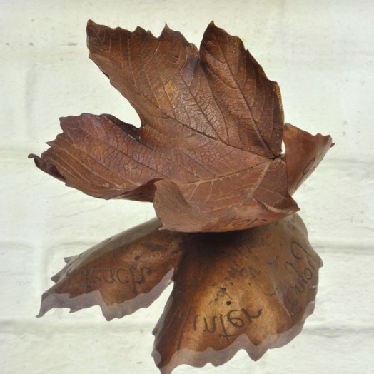 LEAF LITTER VII
