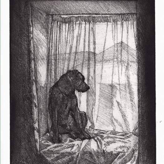 'BEYOND US' - Maybe the contemplation of animals goes far beyond …?